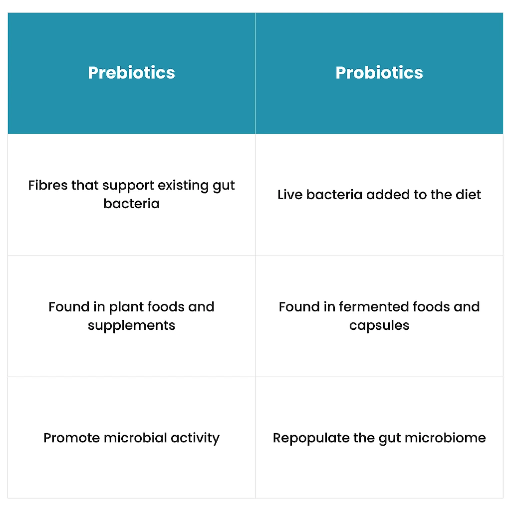 How prebiotics Work