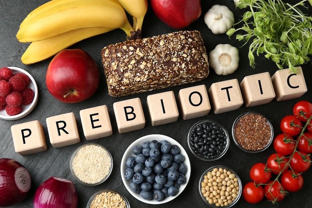 Prebiotic Market Growth and Industry Trends